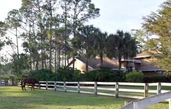 Pasture with house
